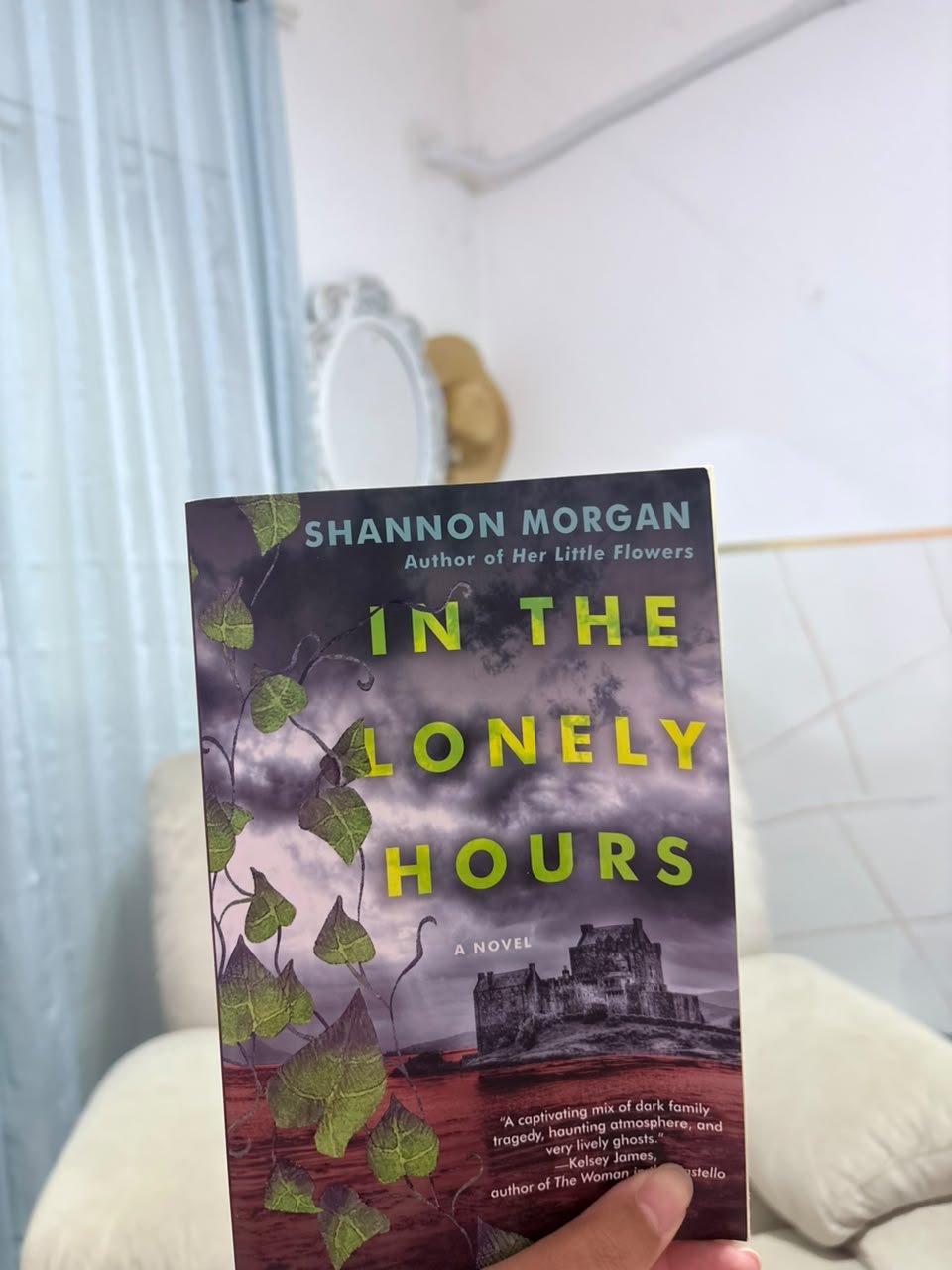 In the Lonely Hours - Shannon Morgan